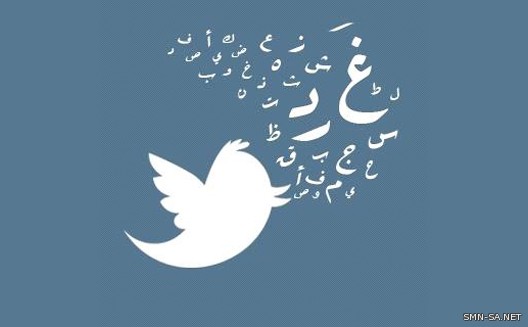 تراجع كبير لسهم (تويتر) بعد انخفاض عدد مستخدميها