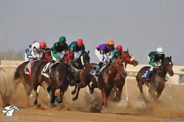 #الفروسية (ويستمر العطاء )