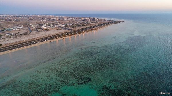 شواطئ أملج تشهد إقبالًا من الأهالي والزوار