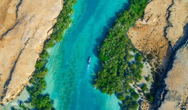 صيف السعودية .. السياحة في المملكة .. جزر فرسان