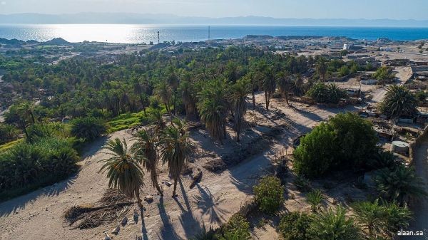 مركز مقنا في شمال غرب المملكة جمع البحر بتدرج ألوانه والجبال الشاهقة والأودية وعيون المياه
