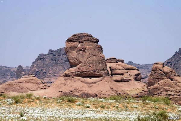 قصدها الرحالة الأوروبيون .. "جبال المسمى " من كنوز الطبيعة في حائل