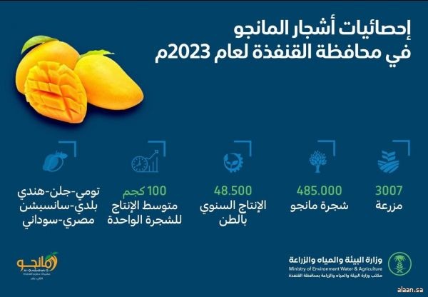 مهرجان المانجو الثاني عشر ينطلق في 19 شوال بمحافظة القنفذة مهرجان المانجو الثاني عشر ينطلق في 19 شوال بمحافظة القنفذة