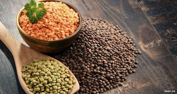 العدس .. مجموعة متنوعة من الفيتامينات والعناصر المهمة لأي نظام غذائي