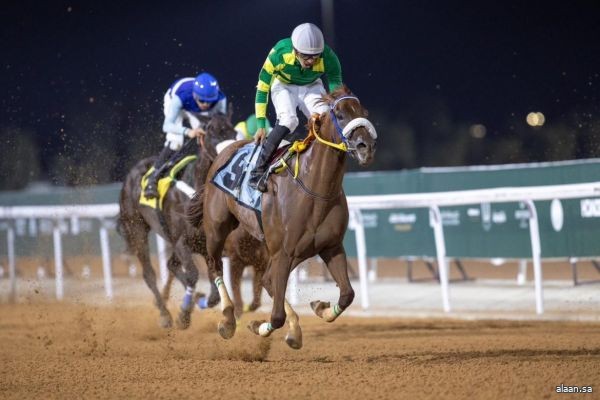 في أسبوعٍ مميزٍ وجوائز كبرى .. نادي سباقات الخيل يحتفي باليوم الوطني ضمن الموسم الصيفي بالطائف