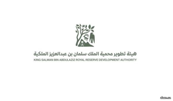هيئة تطوير محمية الملك سلمان بن عبدالعزيز الملكية تحتفي بزراعة 2.4 مليون شتلة بالتزامن مع COP16