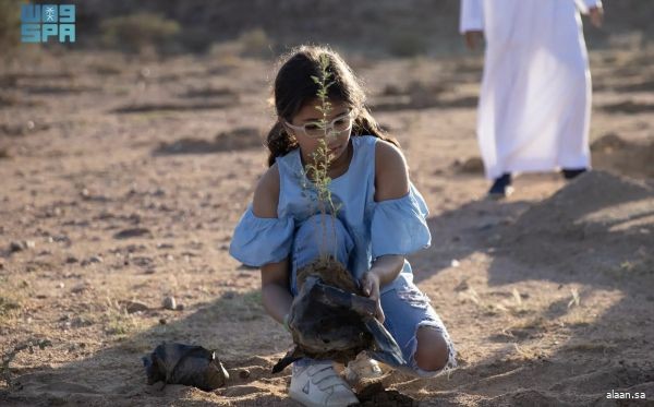 "الغطاء النباتي" يزرع أكثر من 20 مليون شجرة في منطقة الرياض