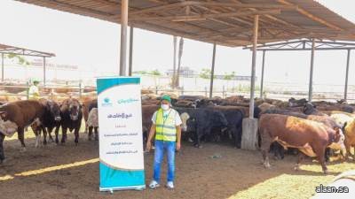 "أضاحي" تبدأ عملياتها التشغيلية في يوم النحر لخدمة حجاج بيت الله الحرام "أضاحي" تبدأ عملياتها التشغيلية في يوم النحر لخدمة حجاج بيت الله الحرام