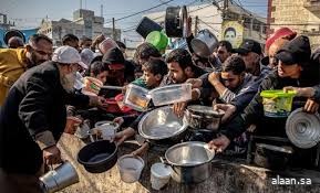 اليونيسف : عائلات غزة تعاني لتأمين وجبة لأطفالها اليونيسف : عائلات غزة تعاني لتأمين وجبة لأطفالها