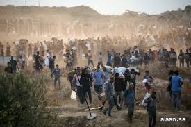 مقتل 12 فلسطينيا بنيران إسرائيلية في غزة مقتل 12 فلسطينيا بنيران إسرائيلية في غزة
