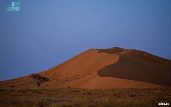تسجيل محمية عروق بني معارض في القائمة الخضراء للاتحاد الدولي لحماية الطبيعة