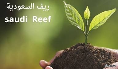 عدد مستفيدي برنامج " ريف السعودية" يتجاوز 87 ألف مستفيد عدد مستفيدي برنامج " ريف السعودية" يتجاوز 87 ألف مستفيد