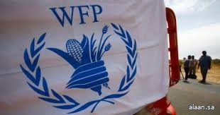 الأغذية العالمي يدعو لفتح مزيد من الطرق الآمنة بغزة الأغذية العالمي يدعو لفتح مزيد من الطرق الآمنة بغزة