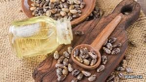 زيت الخروع .. بوتوكس الطبيعة زيت الخروع .. بوتوكس الطبيعة