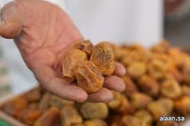 الرياض تُعزّز إنتاج المملكة من التمور .. والأسواق تستقبل بواكيرها الرياض تُعزّز إنتاج المملكة من التمور .. والأسواق تستقبل بواكيرها