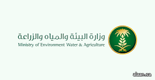 "الغطاء النباتي" يُعلِّن بدء دخول مربي الماشية إلى متنزه معيلة الوطني في عرعر "الغطاء النباتي" يُعلِّن بدء دخول مربي الماشية إلى متنزه معيلة الوطني في عرعر