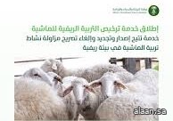 "البيئة" تُطلق خدمتي ترخيص التربية الريفية للدواجن والماشية لدعم صغار المربين وتعزيز استدامة قطاع الثروة الحيوانية