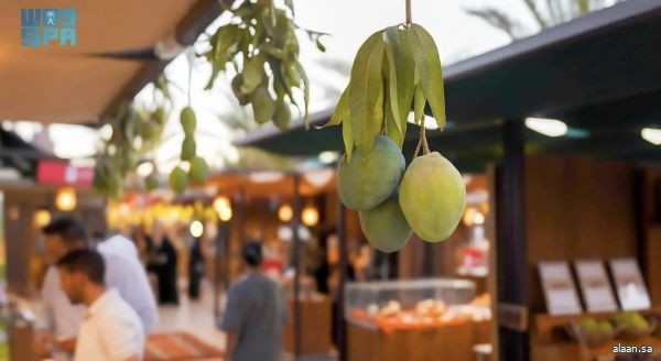 بأكثر من 110% عن الموسم الأول .. موسم الفواكه الصيفية الثاني بالعُلا يشهد ارتفاعًا في حجم المبيعات