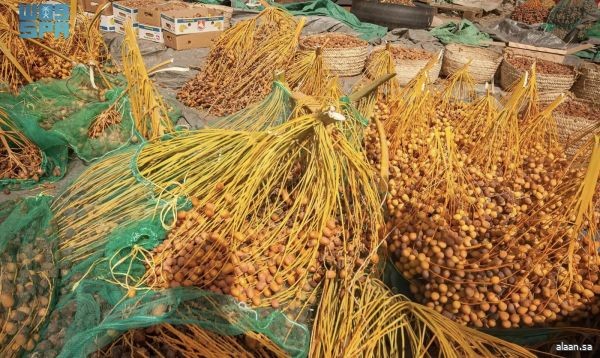 سوق التمور بنجران يشهد حراكًا اقتصاديًّا في بيع وشراء حصاد نخيل البياض والمواكيل