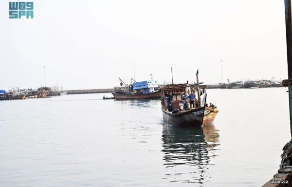 موانئ الصيد بجازان.. وفرة في المعروض البحري تنعكس على الحركة التجارية وأسواق الأسماك