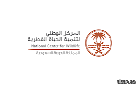 أكثر من 84 ألف طائر بحري و1219 من الكائنات البحرية الكبيرة توثقها الحياة الفطرية في العام 2025