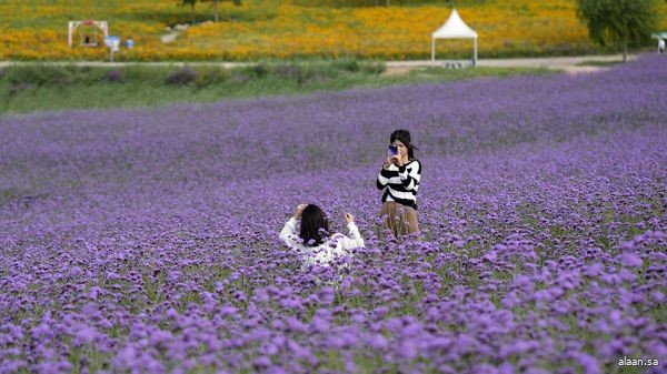 بلدية شانغهاي تُنشيء أكثر من 1000 حديقة بلدية شانغهاي تُنشيء أكثر من 1000 حديقة