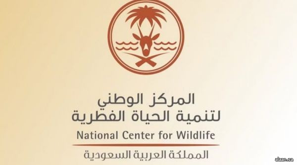 انطلاق موسم الصيد اليوم في المملكة 2025 / 2026 انطلاق موسم الصيد اليوم في المملكة 2025 / 2026