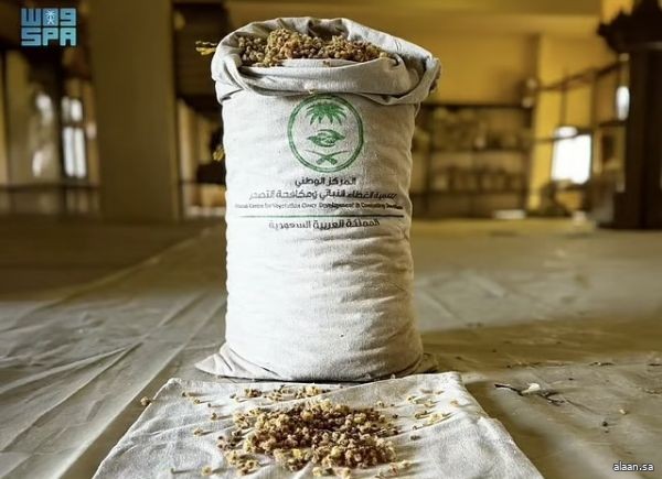 مركز " الغطاء النباتي" يجمع 80 طنًّا من البذور خلال 2025