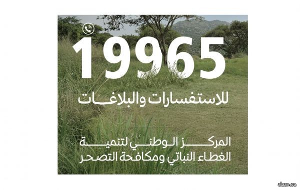 "الغطاء النباتي" يطلق خدمات الرقم الموحد (19965) لتلقي البلاغات والاستفسارات