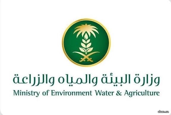 "البيئة" تطرح فرصة استثمارية لزراعة الأشجار المثمرة على مساحة 559 ألف متر مربع بنجران