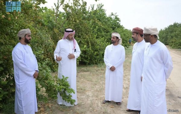 تعاونٌ بحثي سعودي - عُماني لتطوير تقنيات زراعة الحمضيات