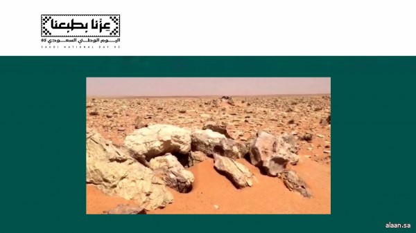 كيف كانت معركة السبلة نقطة تحوُّل في تاريخ المملكة ؟ ..