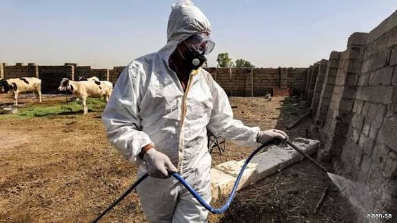 العراق .. 42 وفاة بالحمى النزفية منذ مطلع العام