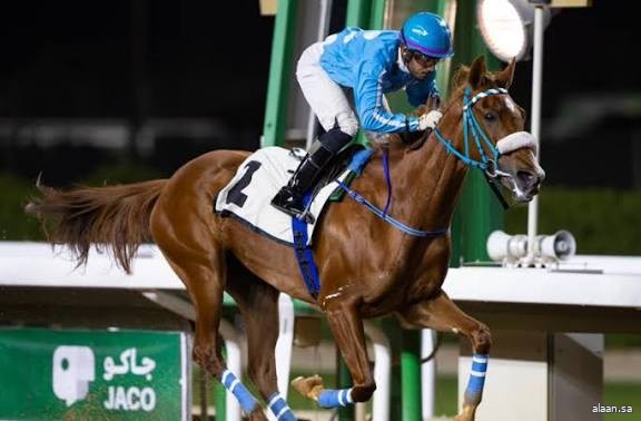 ميدان سباقات الخيل بنجران يٌنظّم حفل سباقه الأول للموسم الحالي غدًا