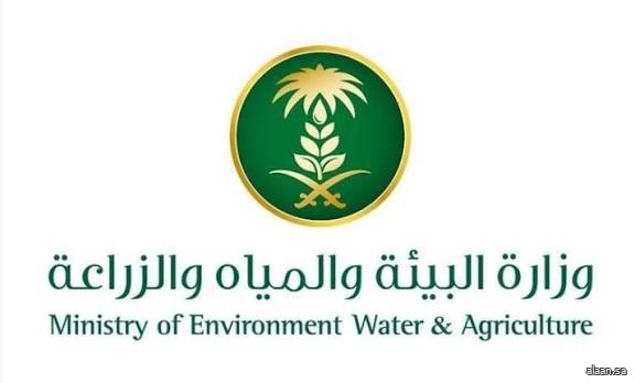 ‏"بيئة جدة" تُخالف (5) صيادين في درة العروس