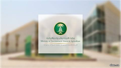 "البيئة" تطرح 5 فرص استثمارية لتربية وتسمين الحمام ودعم الأنشطة الترفيهية والسياحية في الرياض