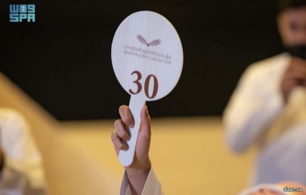 بيع صقرين بـ (163) ألف ريال في الليلة الـ 11 لمزاد نادي الصقور السعودي 2025