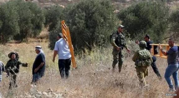 في اعتداءات لاتتوقف .. الاحتلال الإسرائيلي يمنع المزارعين من دخول أراضيهم وقطف الزيتون