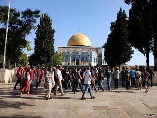 أكثر من ألف مستوطن يقتحمون الأقصى أكثر من ألف مستوطن يقتحمون الأقصى