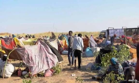 الأمم المتحدة: مئات ربما يكونون قد أُعدموا خلال سيطرة الدعم السريع على مدينة سودانية الأمم المتحدة: مئات ربما يكونون قد أُعدموا خلال سيطرة الدعم السريع على مدينة سودانية