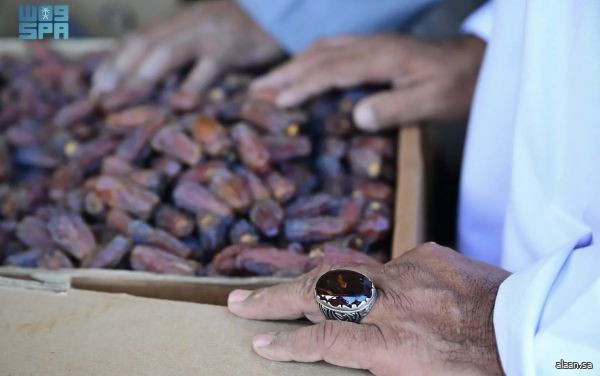 اختتام المرحلة الأولى من موسم تمور العُلا وانطلاق المرحلة الثانية بسوق المزارعين حتى منتصف نوفمبر