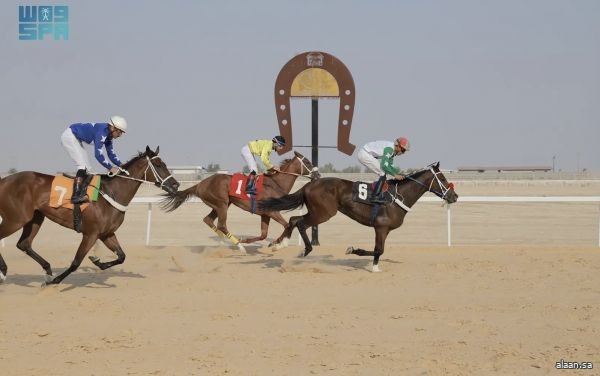 ميدان فروسية الأحساء يطلق أول سباقاته للموسم 1447هـ ميدان فروسية الأحساء يطلق أول سباقاته للموسم 1447هـ