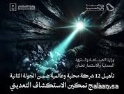 وزارتا الصناعة والثروة المعدنية والاستثمار تعلنان تأهل 12 شركة محلية وعالمية ضمن الجولة الثانية من برنامج تمكين الاستكشاف التعديني