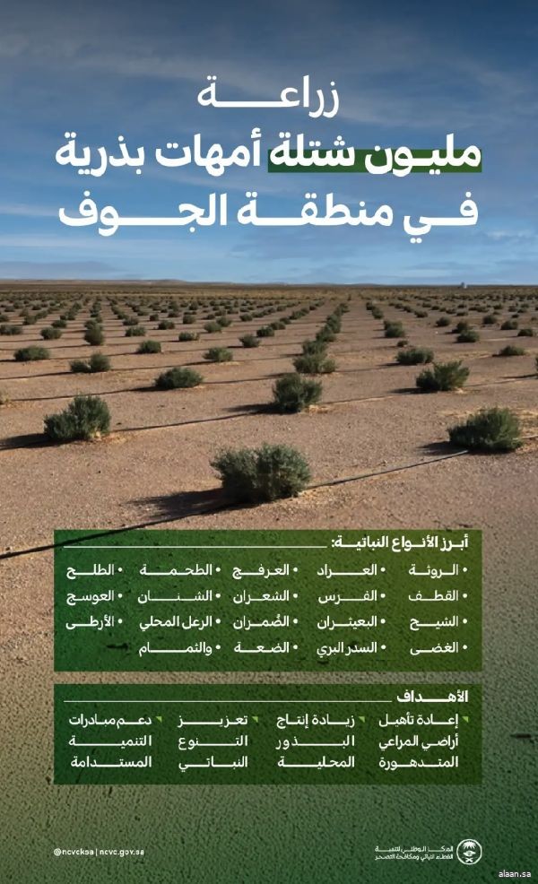 "الغطاء النباتي" يزرع مليون شتلة لأمهات البذور بمنطقة الجوف لتنمية المراعي الطبيعية