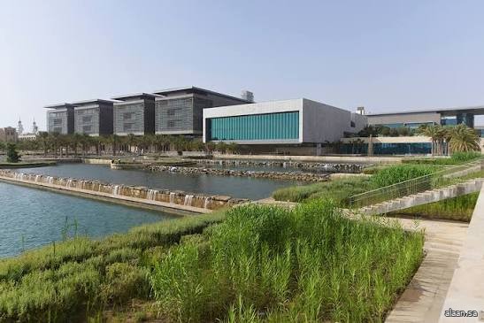 "كاوست" تُطلق أول مشتل مدرسي لأشجار المانغروف في الشرق الأوسط