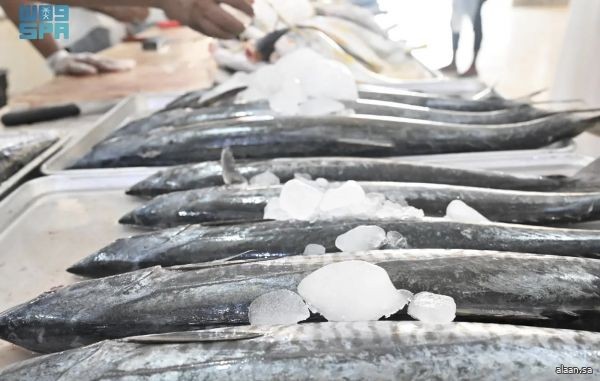 "بيئة جازان" تُنفِّذ 521 جولة رقابية وتضبط 427 كيلوجرامًا من الأغذية غير الصالحة للاستهلاك