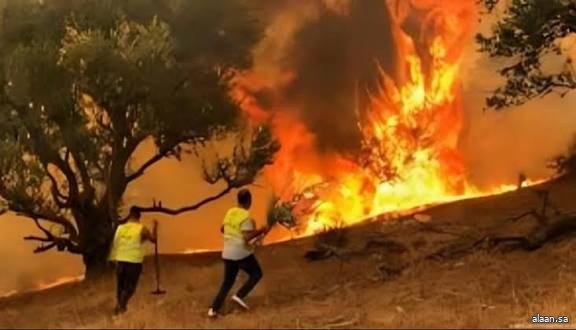 إجلاء عشرات العائلات جراء حرائق غابات كبيرة غرب العاصمة الجزائرية
