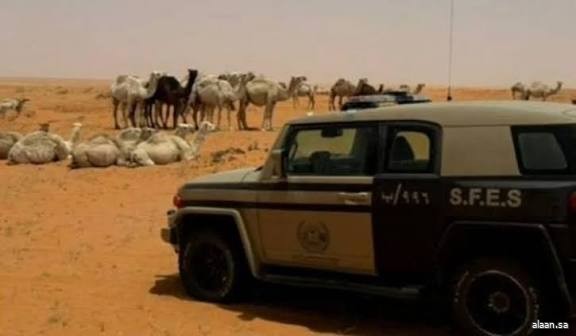 الأمن البيئي يضبط مواطنًا لارتكابه مخالفة رعي في محمية الإمام تركي بن عبدالله الملكية