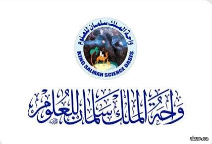 مهرجان الرياضيات يُطلق برنامج "ذكاءات ومهارات" لتعزيز قدرات الأطفال والناشئة