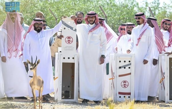 سموُّ الأمير سعود بن نهار يُدشّن التطوير الجديد لمتنزه الطائف الوطني ويطلق 12 كائنًا فطريًا
